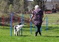 DSC06346.jpg