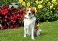 SAM_0241.JPG
