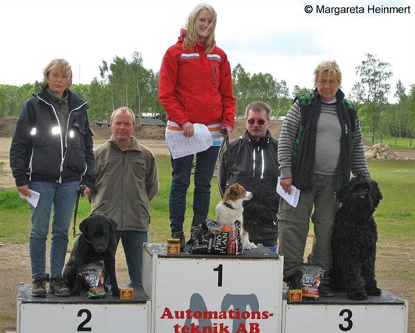 meisje's can-tilla kooikerhondje tilla kooiker ingrid melin