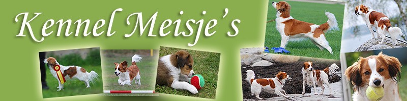kennel meisje's